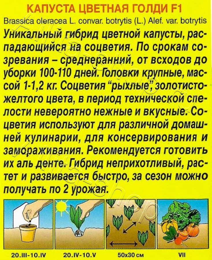 Капуста цветная Голди F1 10шт