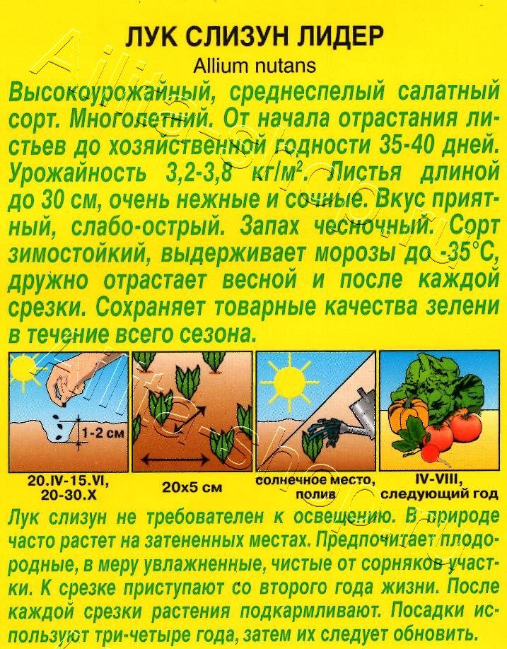 Лук слизун Лидер 0,5г