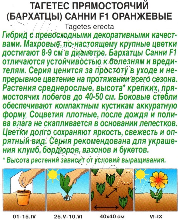 Бархатцы Санни F1 оранжевые прямостоячие 10шт