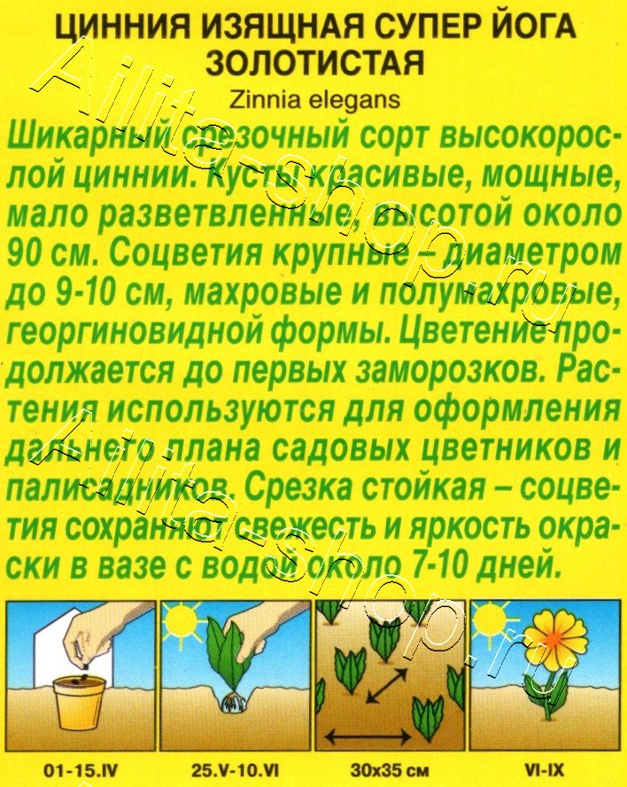 Цинния Супер йога золотистая 0,3г
