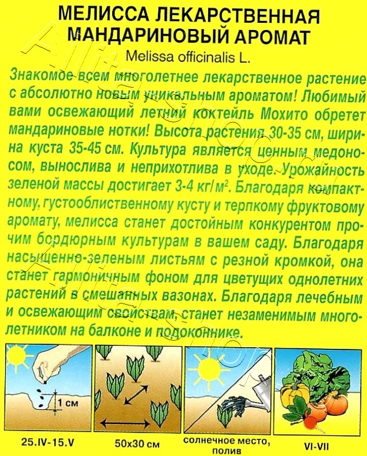 Мелисса Мандариновый аромат 5шт