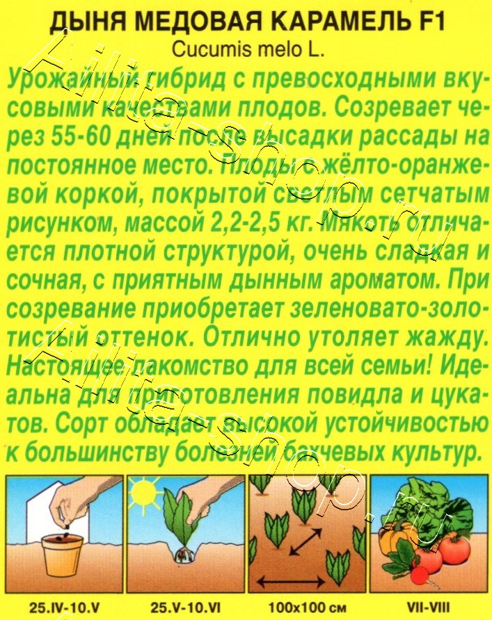 Дыня Медовая карамель F1 5шт
