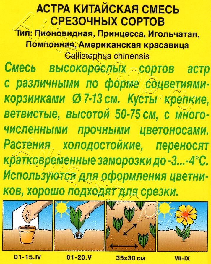 Астра Смесь срезочных сортов 0,2г