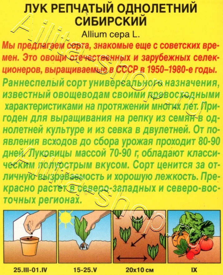 Лук репчатый Однолетний сибирский 0,5г
