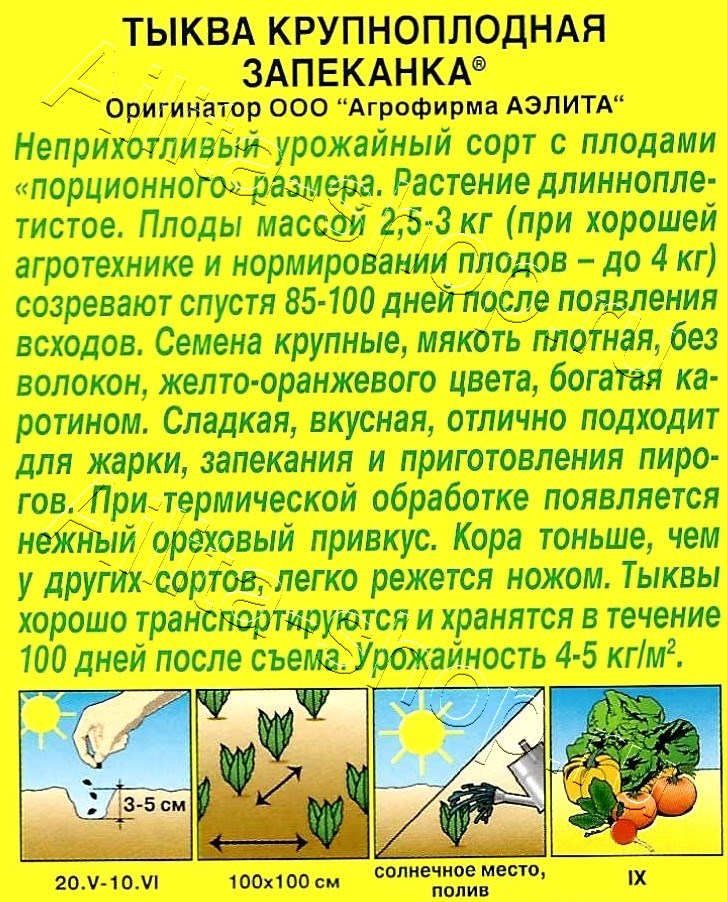 Тыква крупноплодная Запеканка 1г