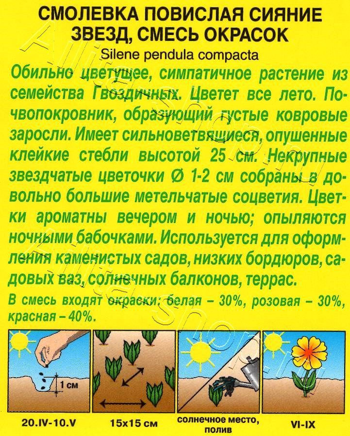 Смолевка Сияние звезд, смесь окрасок 0,1г