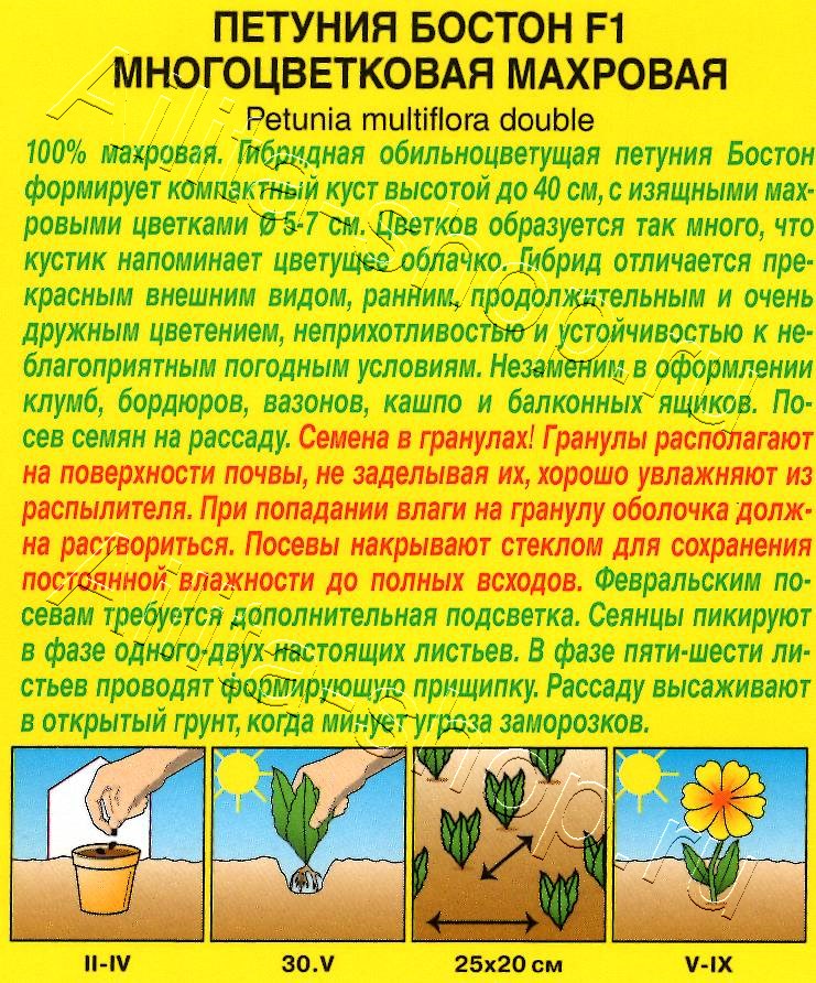 Петуния Бостон F1 многоцветковая махровая 5шт