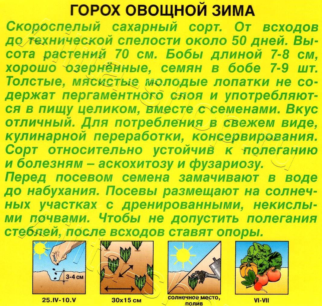 Горох овощной Зима 25г