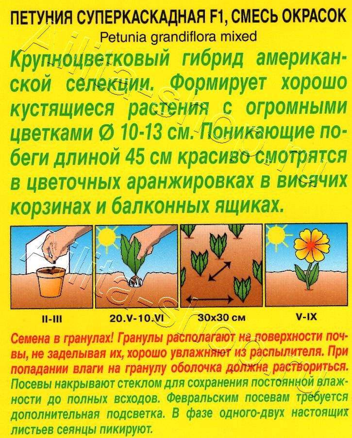 Петуния суперкаскадная F1, смесь окрасок 10шт