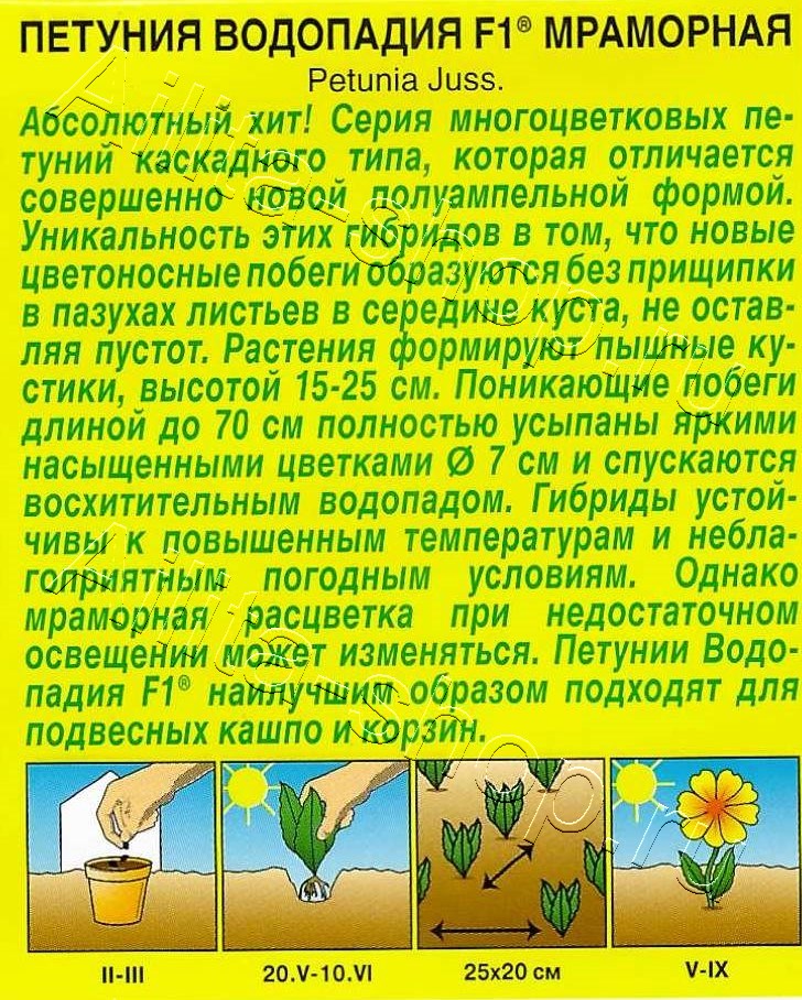 Петуния ВОДОПАДИЯ F1 мраморная 5шт