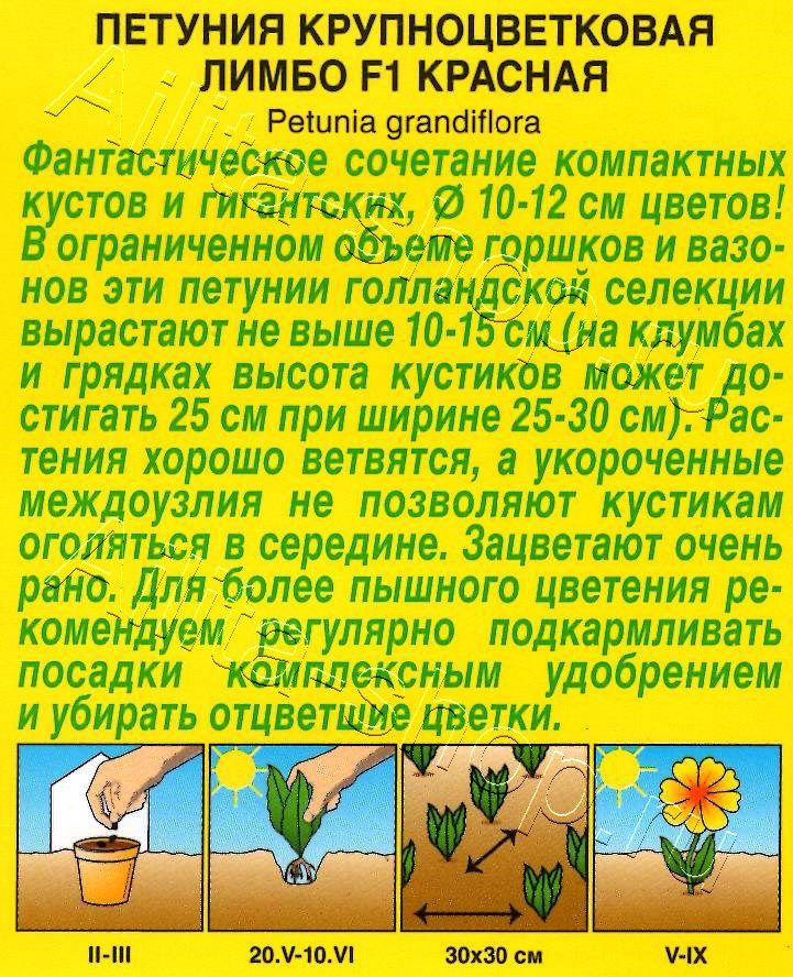 Петуния Лимбо F1 красная крупноцветковая 7шт
