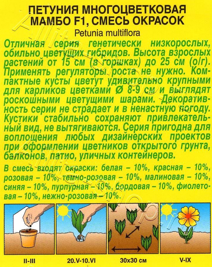 Петуния Мамбо F1, смесь окрасок многоцветковая 7шт