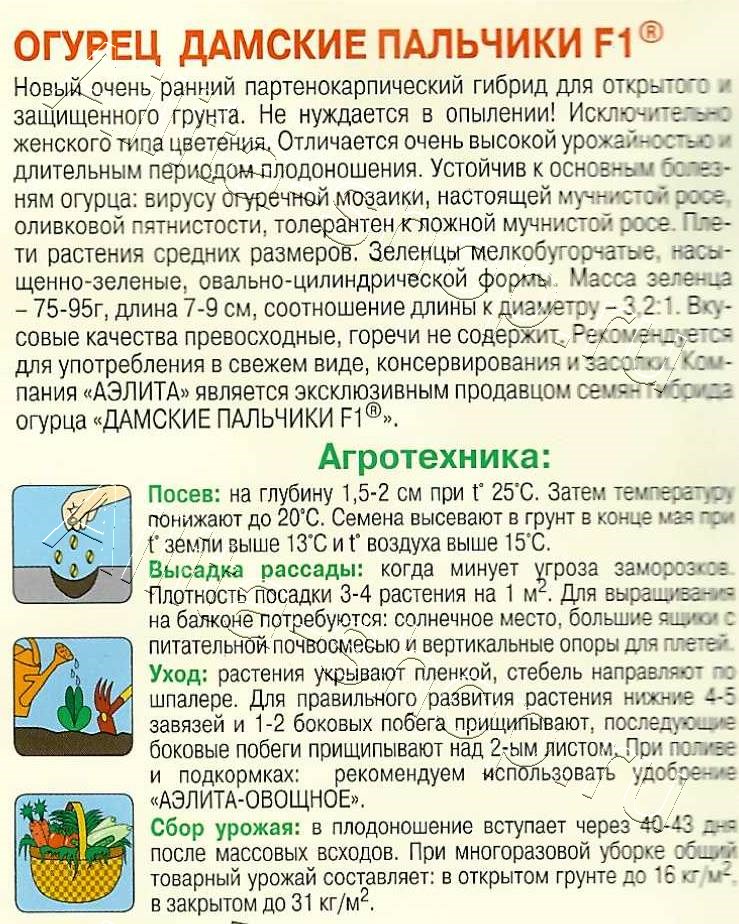 Огурец Дамские пальчики F1 10шт