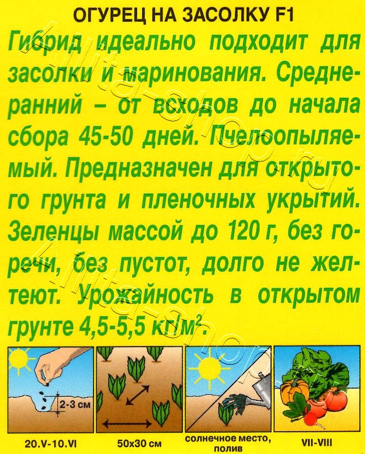 Огурец На засолку F1 10шт