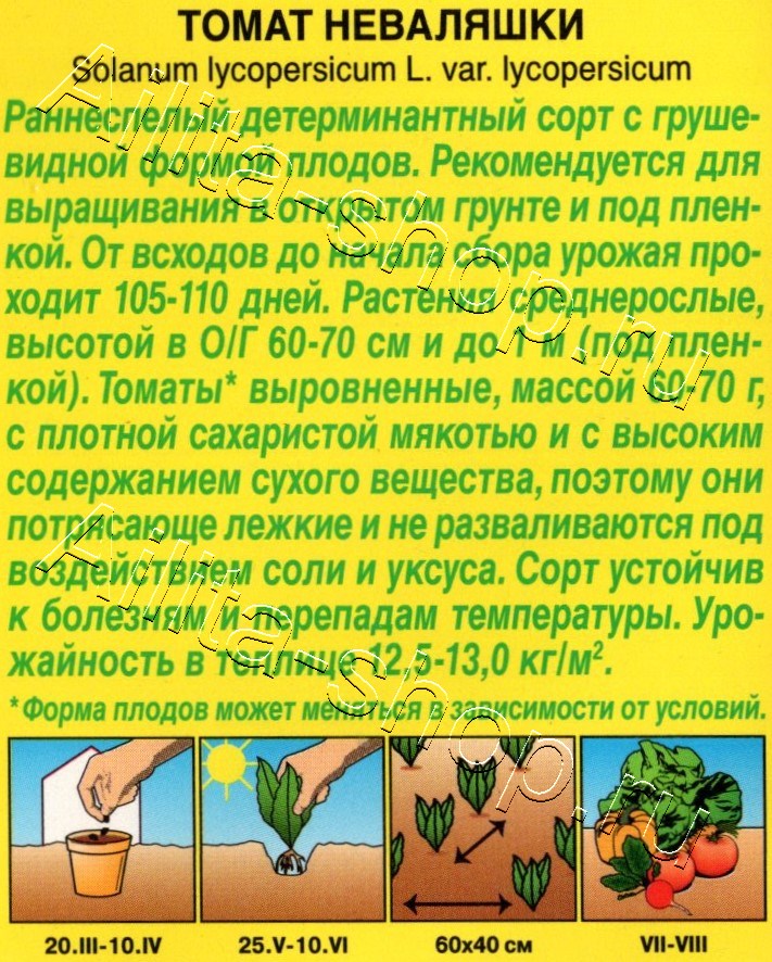 Томат Неваляшки 20шт