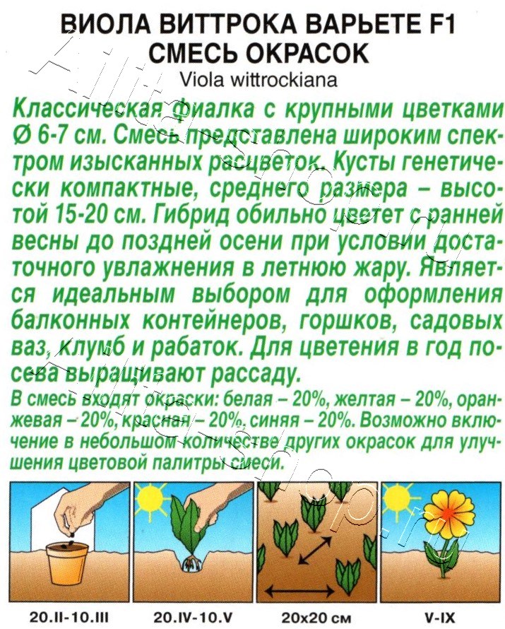 Виола Варьете F1, смесь окрасок 7шт