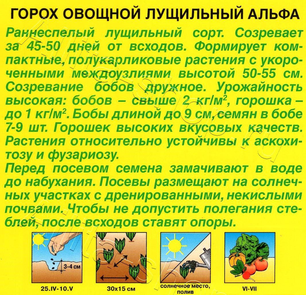 Горох овощной Альфа 25г