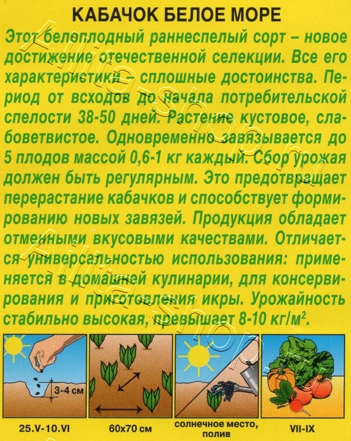 Кабачок белоплодный Белое море 1г