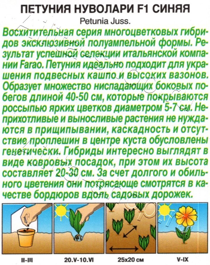Петуния Нуволари F1 полуампельная синяя 5шт