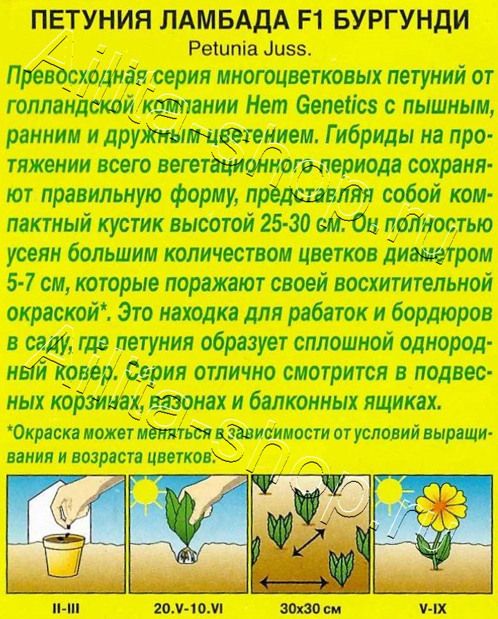 Петуния Ламбада F1 бургунди многоцветковая 7шт
