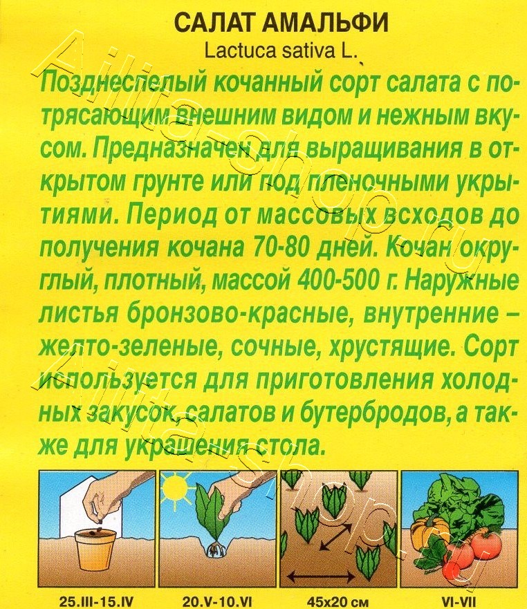 Салат Амальфи 0,3г