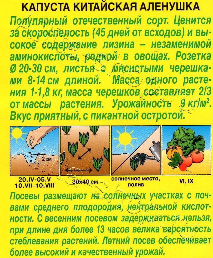 Капуста китайская Аленушка 0,3г