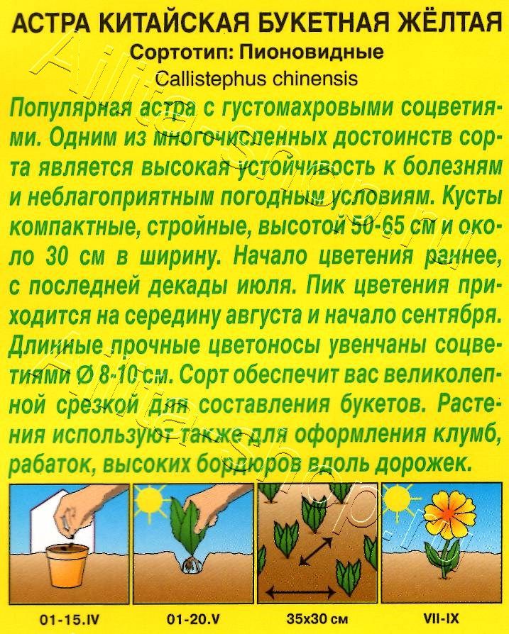 Астра Букетная желтая 0,2г