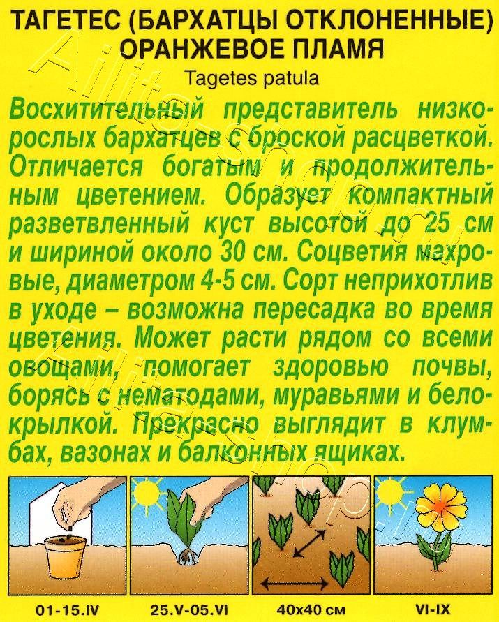 Бархатцы Оранжевое пламя 0,2г