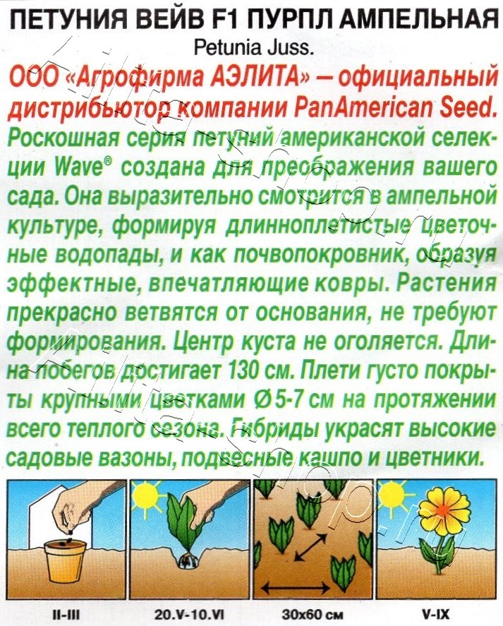 Петуния Вейв F1 пурпл ампельная 4шт