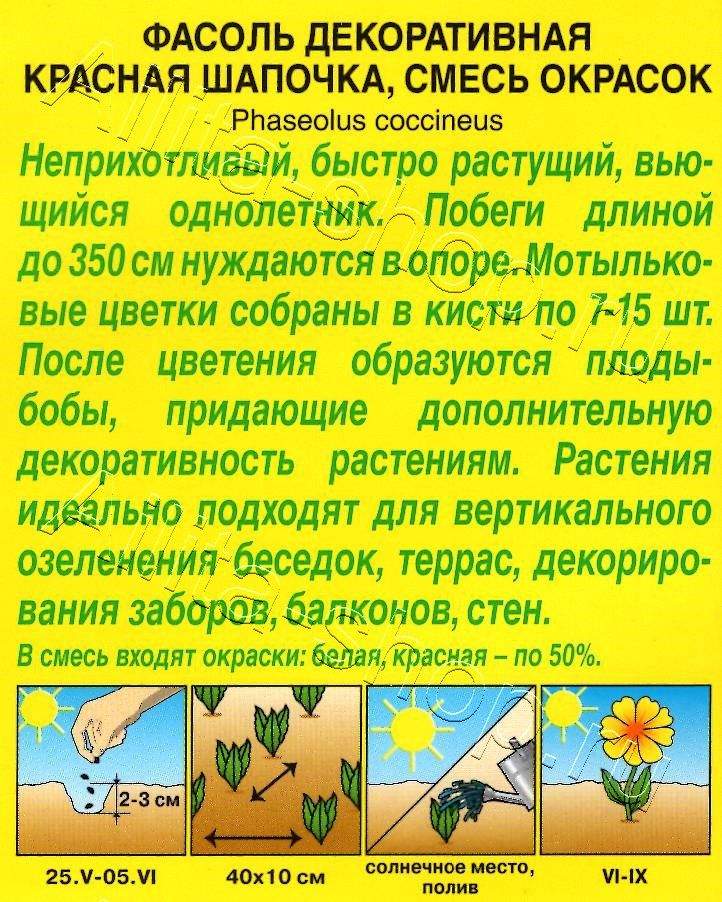 Фасоль Красная шапочка декоративная,смесь окрасок 5г