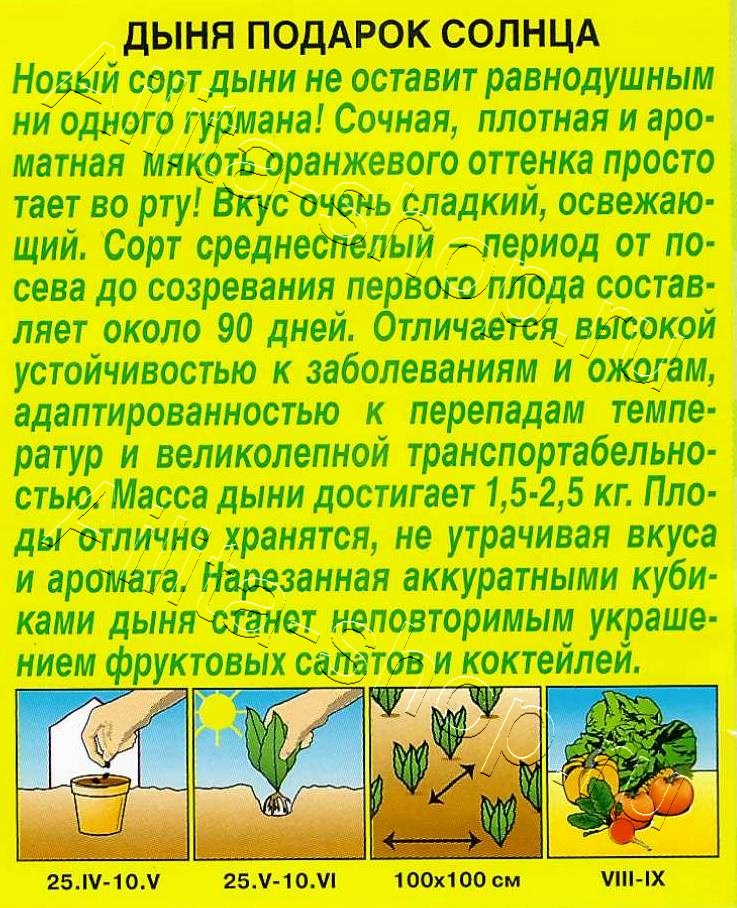 Дыня Подарок солнца 1г