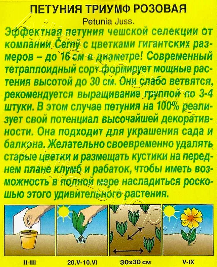 Петуния Триумф розовая крупноцветковая 7шт