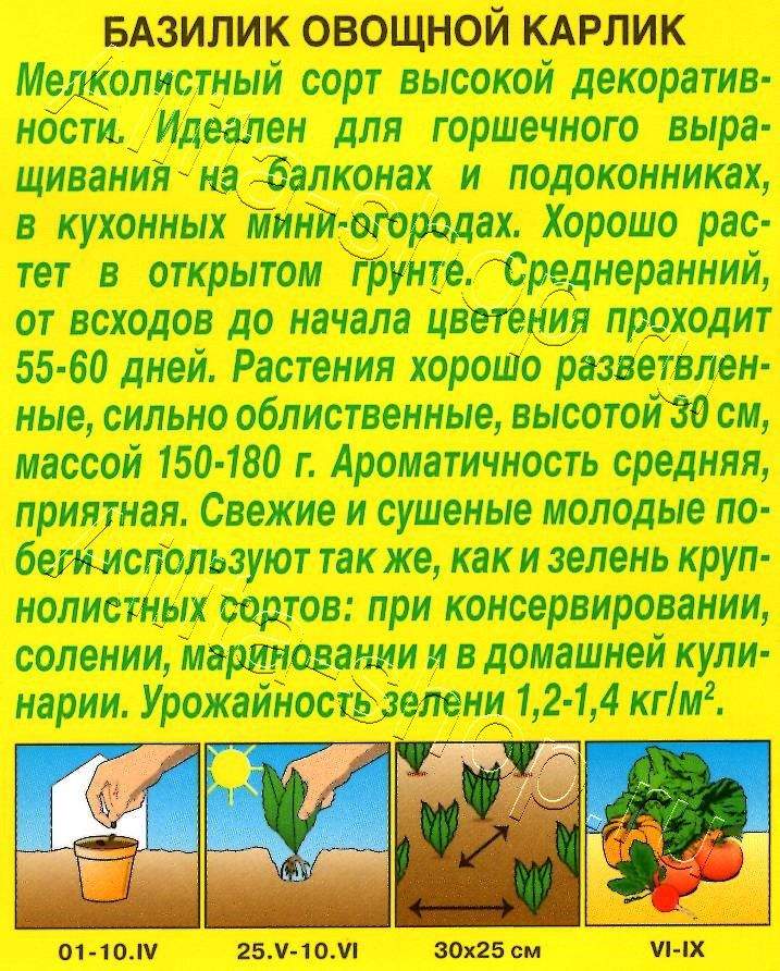 Базилик овощной Карлик 0,3г