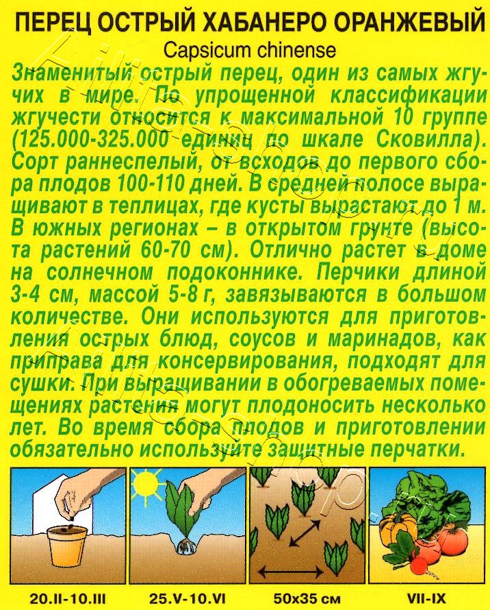 Перец острый Хабанеро оранжевый 20шт