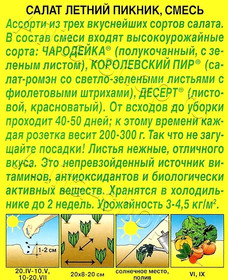 Салат Летний пикник, смесь 0,5г