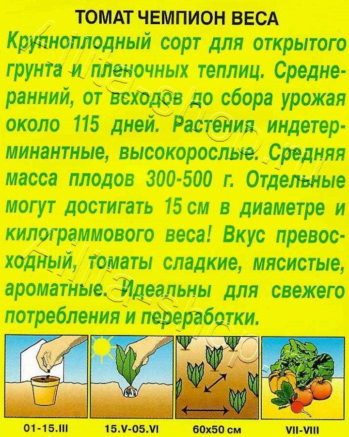 Томат Чемпион веса 20шт