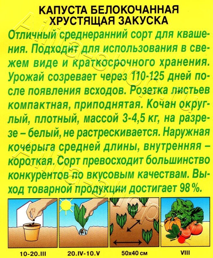 Капуста белокочанная Хрустящая закуска 0,5г