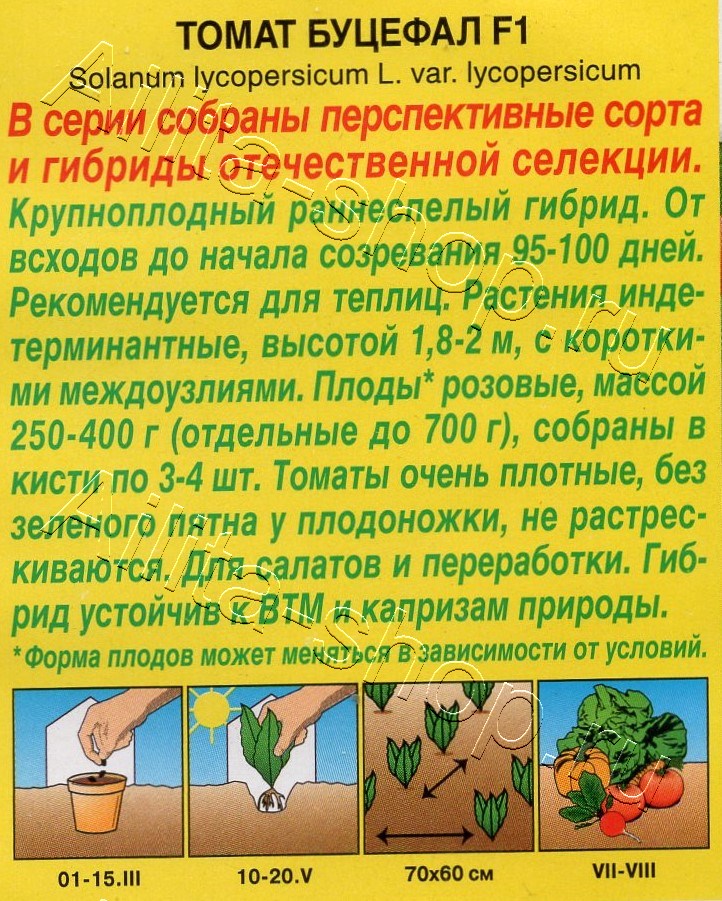 Томат Буцефал F1 20шт