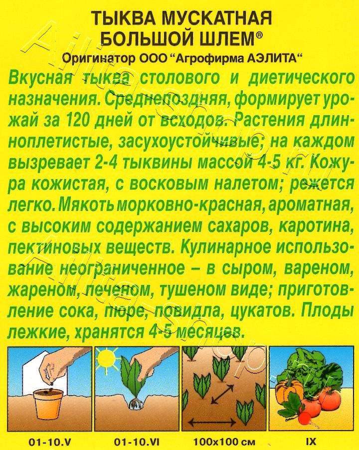 Тыква мускатная Большой шлем 1г