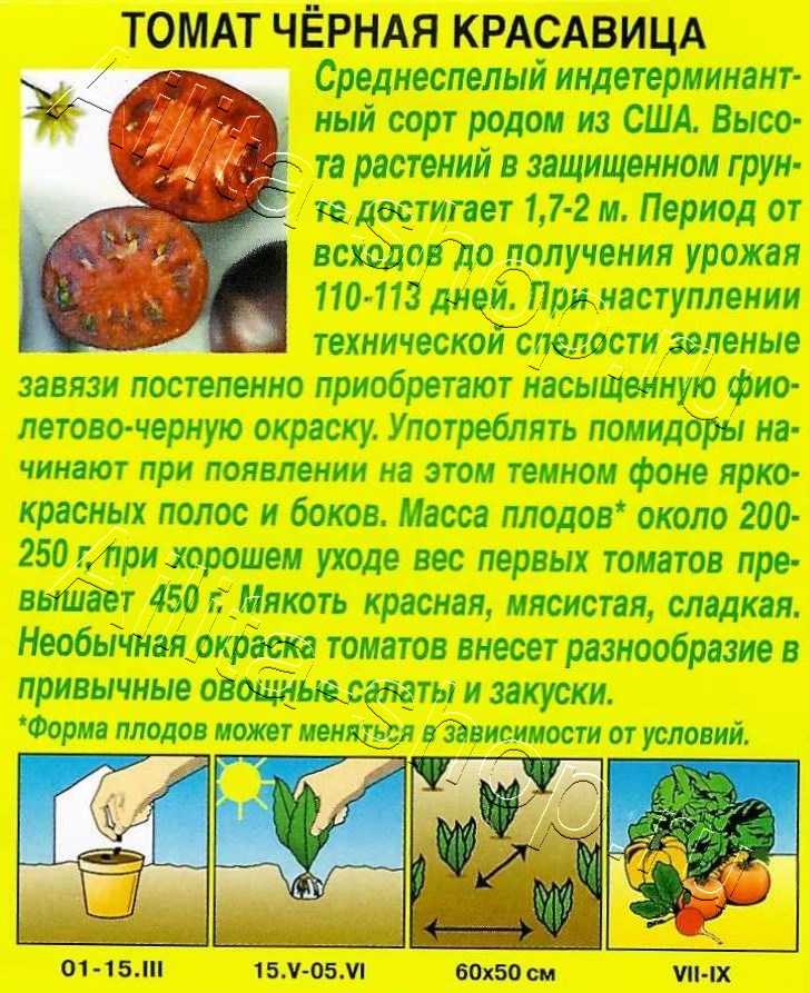 Томат Черная красавица 20шт