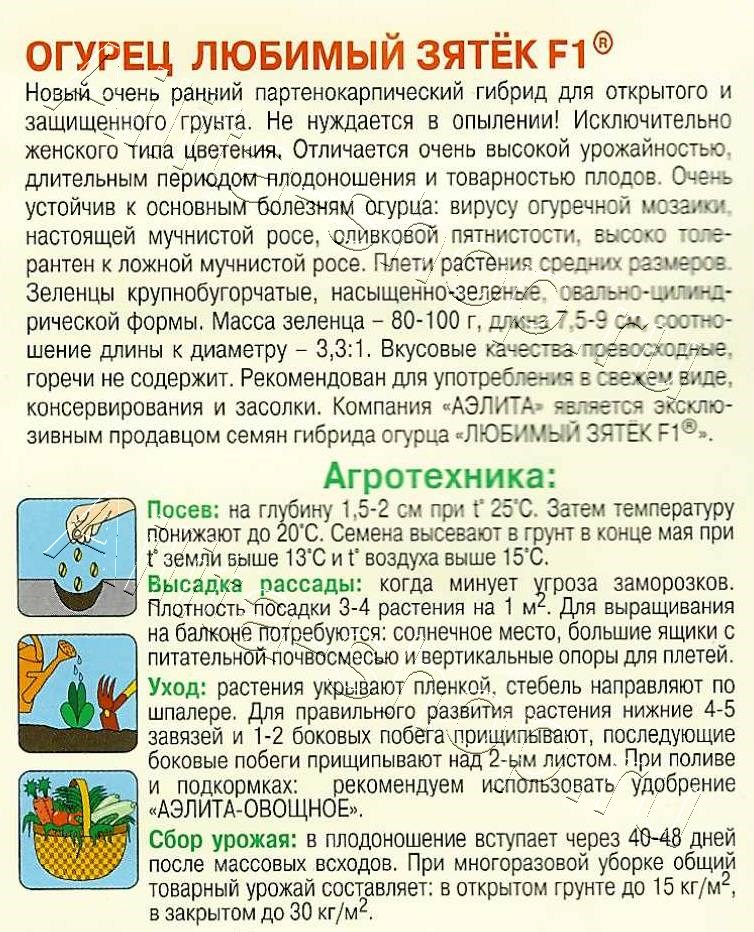 Огурец Любимый зятек F1 10шт