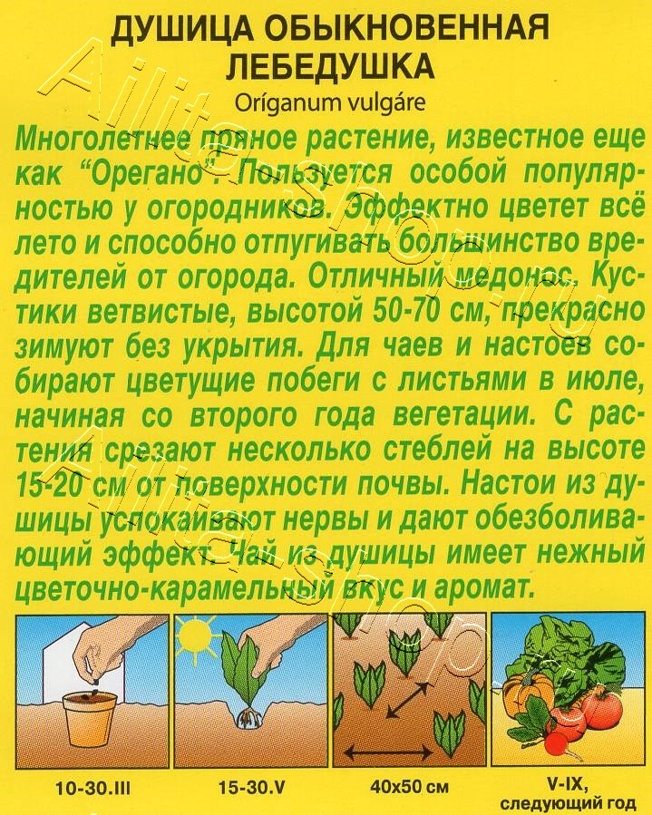 Душица обыкновенная Лебедушка 0,05г