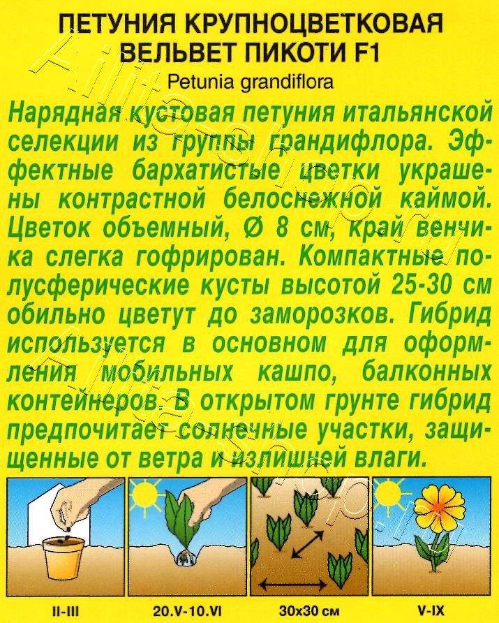 Петуния Вельвет пикоти F1 крупноцветковая 10шт