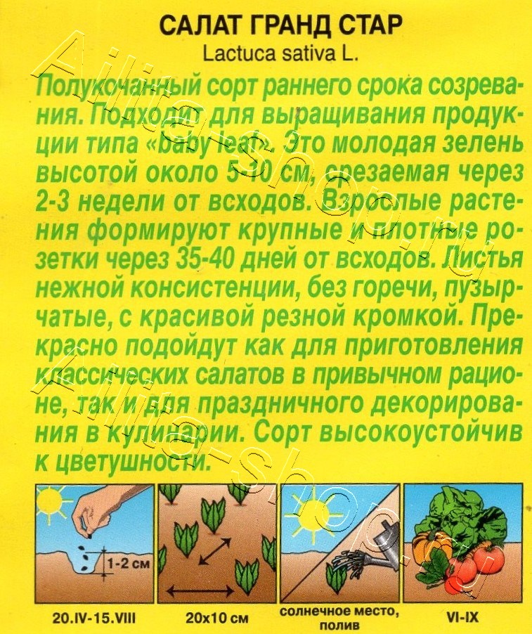 Салат Гранд стар 0,5г