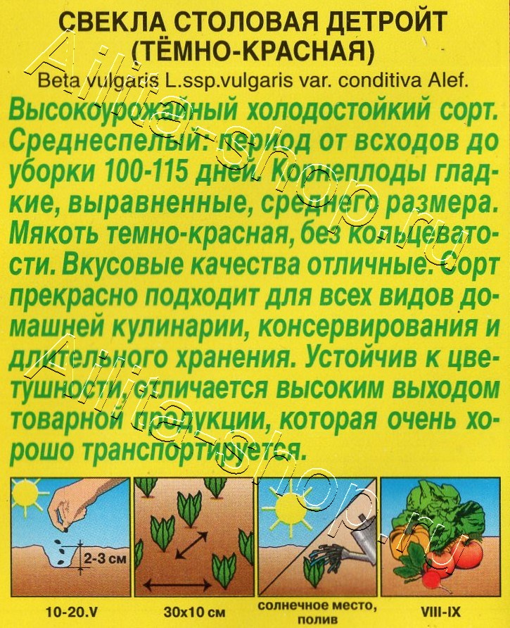Свекла столовая Детройт (тёмно-красная) 3г