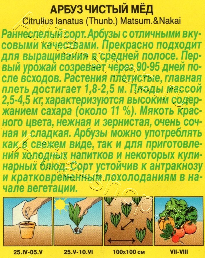 Арбуз Чистый мёд 1г