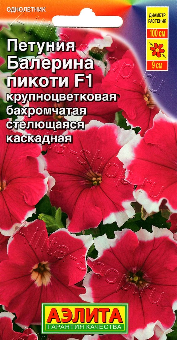 Петуния Балерина пикоти крупноцветковая F1 5шт