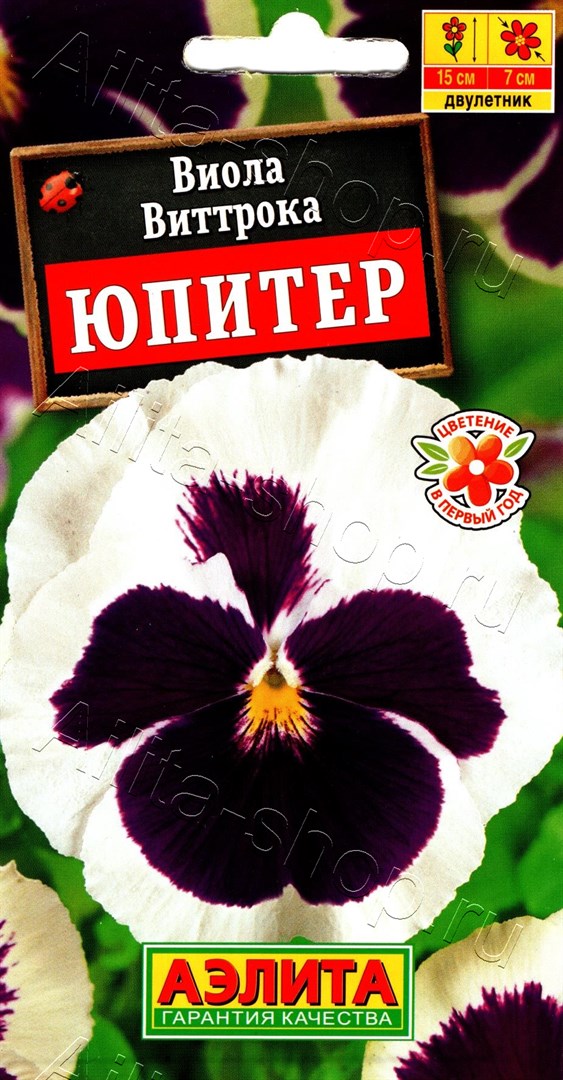 Виола Юпитер 20шт