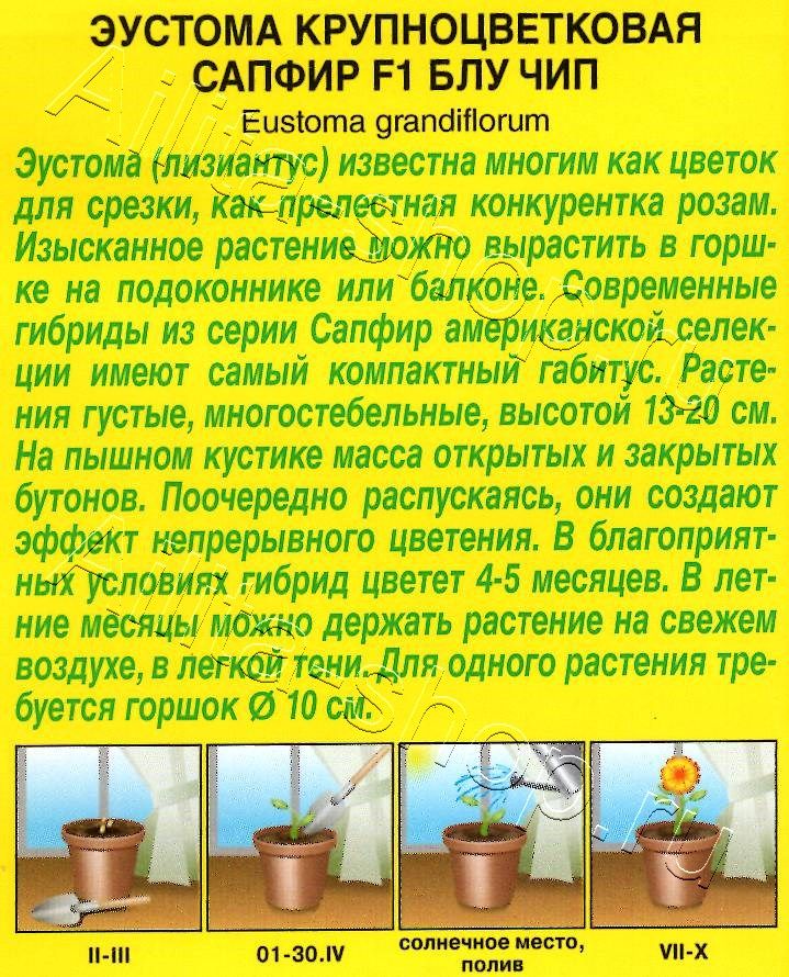 Эустома Сапфир F1 блу чип крупноцветковая 5шт
