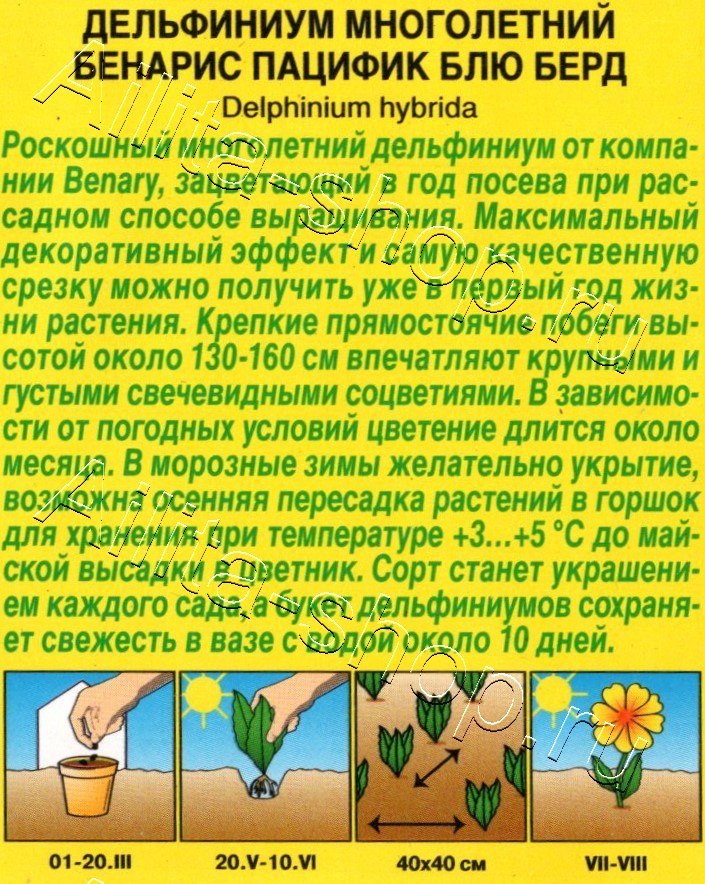 Дельфиниум Бенарис пацифик блю берд 10шт